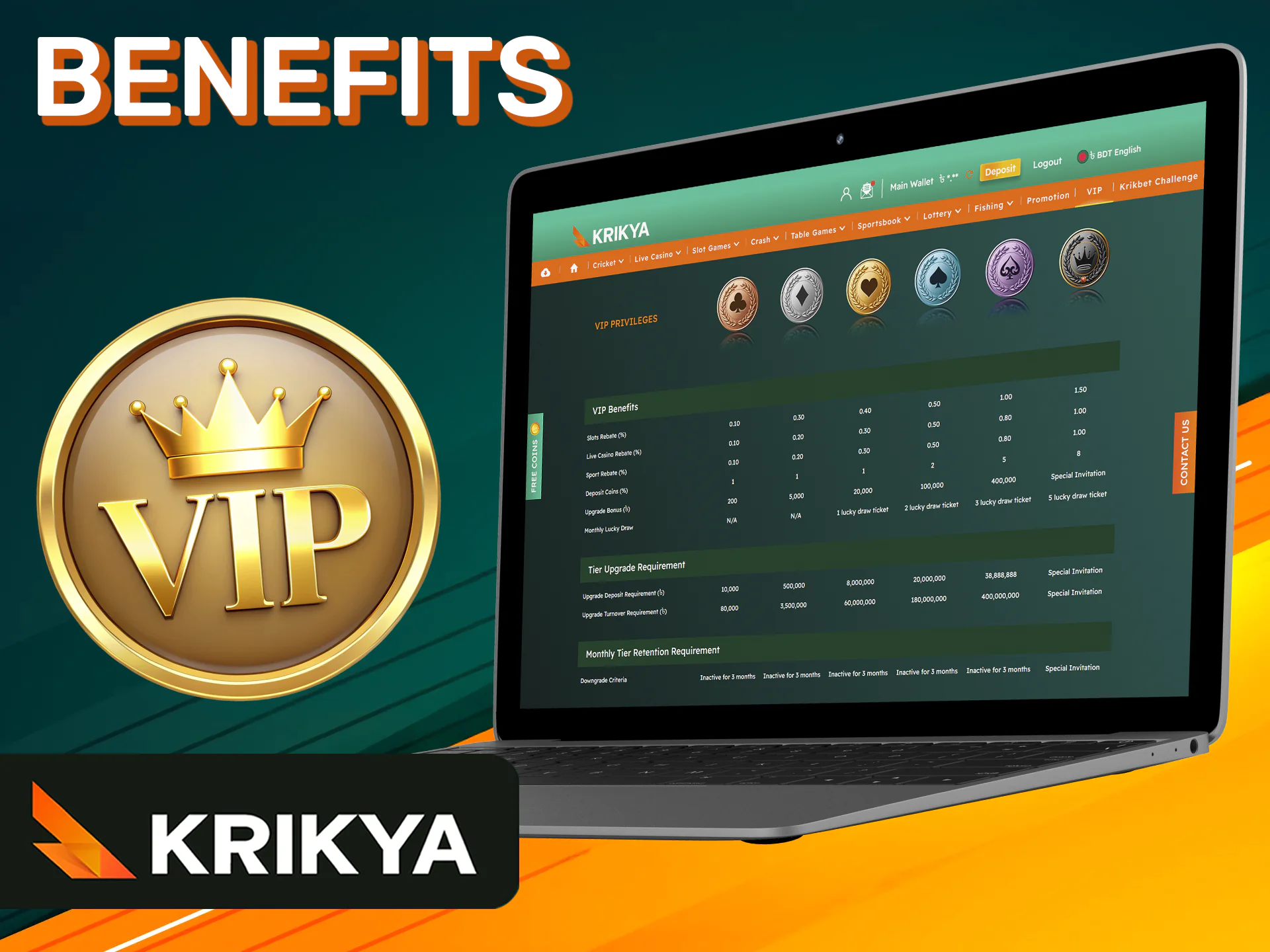 What advantages you can get through the Krikya VIP program.