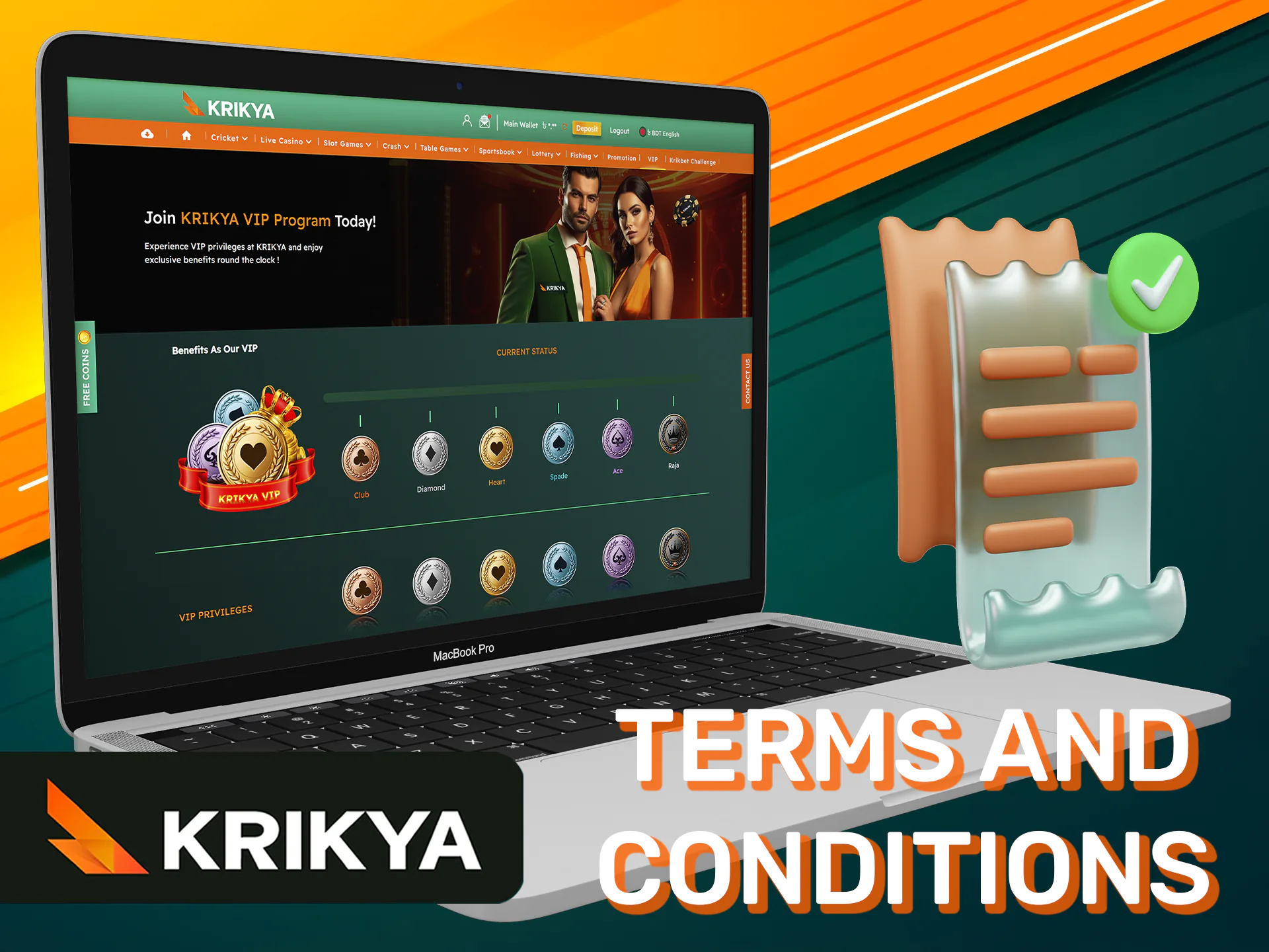 Terms of use of the VIP program on the Krikya platform.